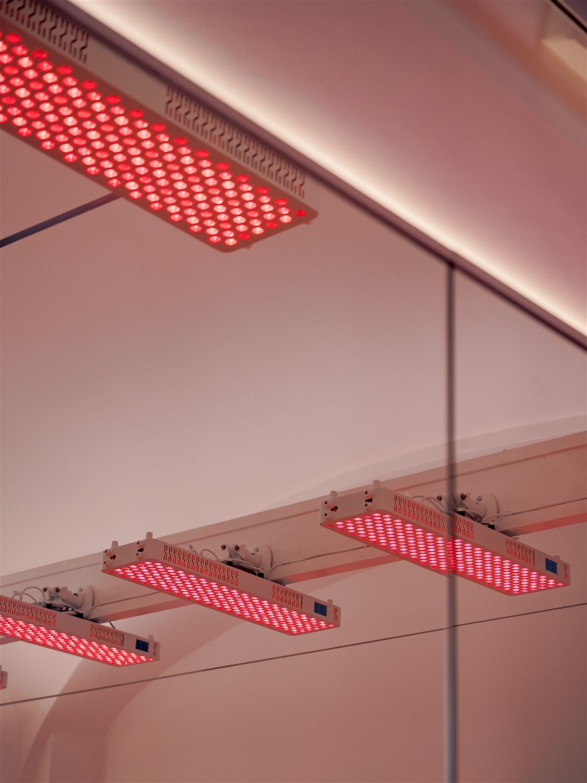 Red light therapy panels on the studio ceiling