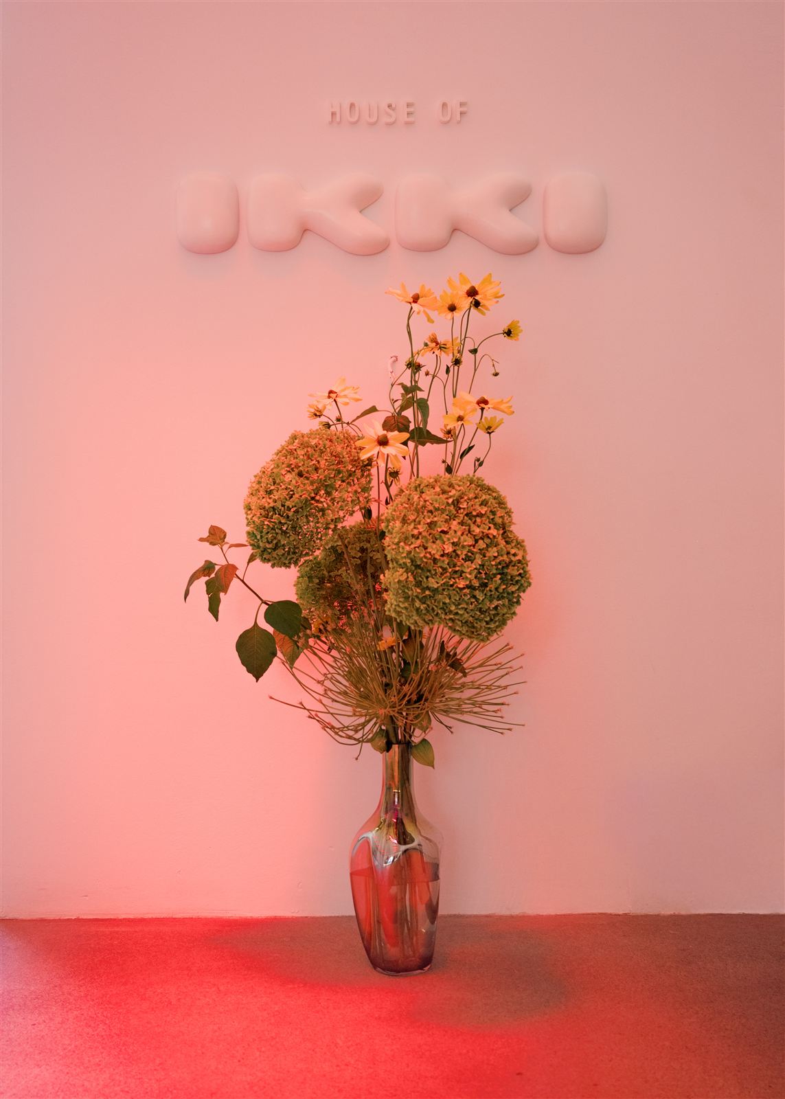 The House of IKKI wordmark on the studio wall, lit in red